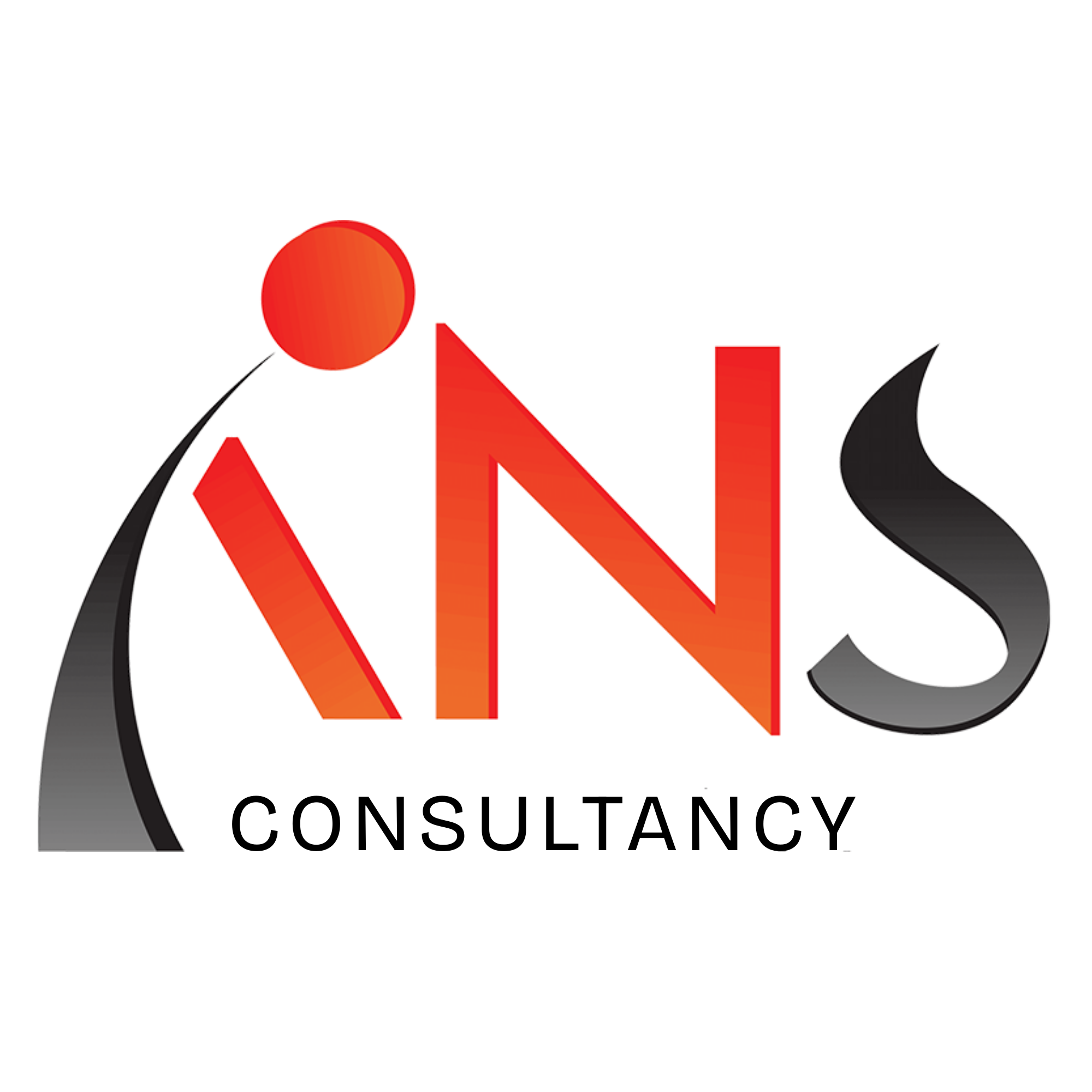 ANS Consultancy Logo